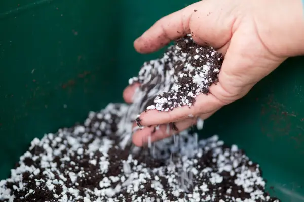 Taking cuttings - mixing compost with perlite