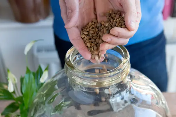 Adding horticultural grit to the bottle