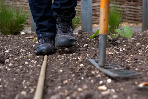 Making a shallow drill using a length of bamboo cane