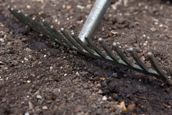 Raking the soil over the drill