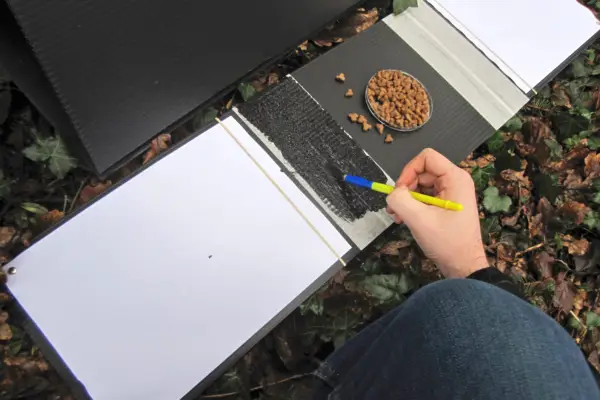 Painting ink on to either side of the bowl
