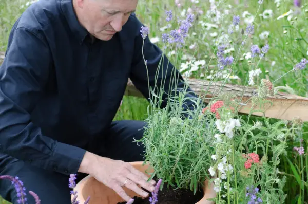 Planting up the container