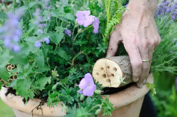Adding the drilled log