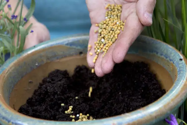 Adding slow-release fertiliser