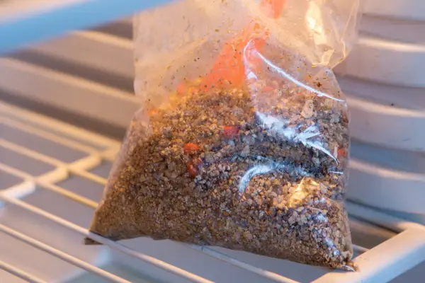 Spindle tree seeds in fridge