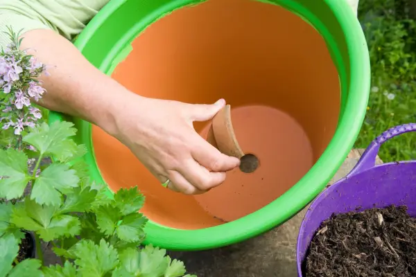 Herb pot for vegetable dishes - adding crocks