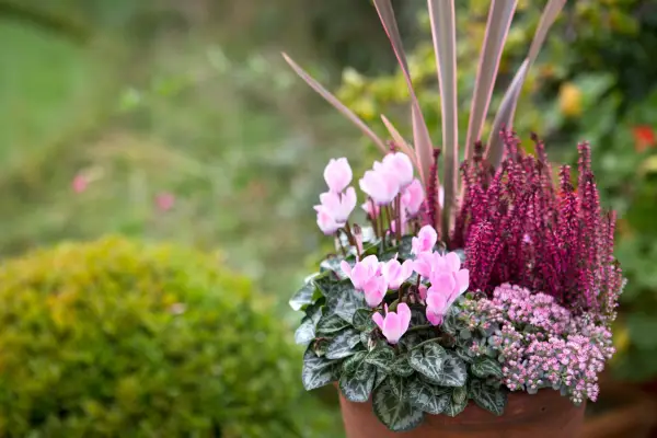 Afișare oală de toamnă