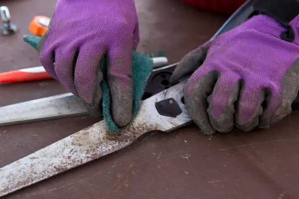 Wiping the blades of the shears