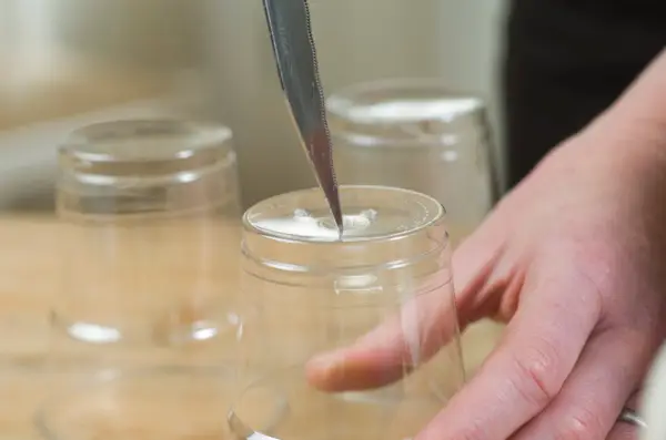How to force anemone corms - piercing drainage holes in plastic cups