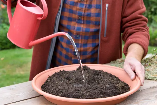 Adding water to the compost mix