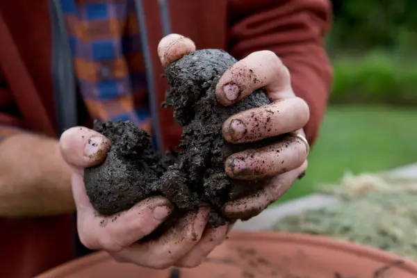 Forming the compost into a ball