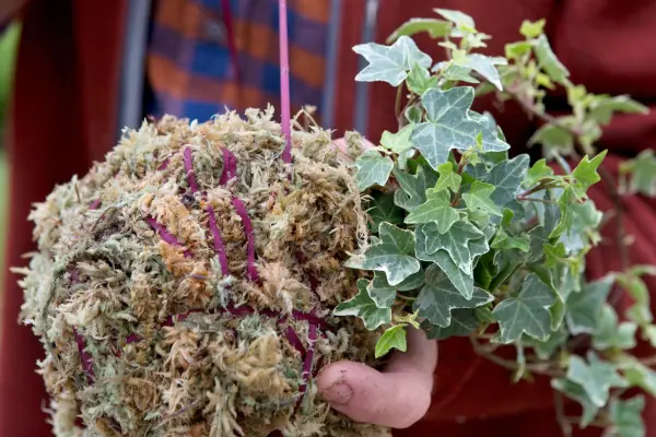 Trying ribbon around the ball