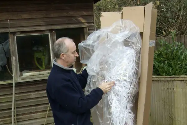 Unpacking the fruit trees