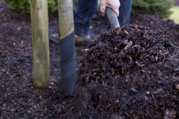 Feeding plants - adding manure