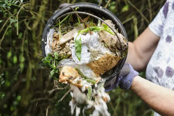 Feeding plants - making compost