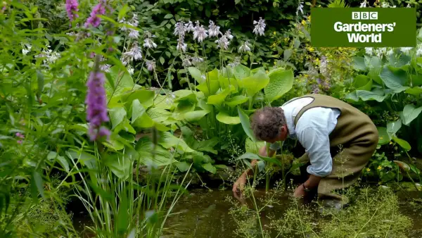Jak sadzić kanały wodne