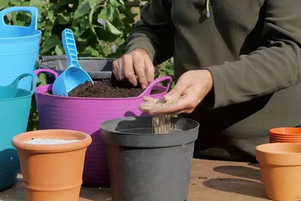 Escolhendo composto para propagação