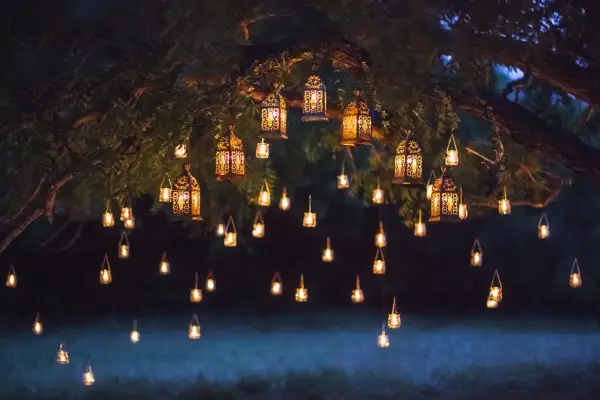 Lanterns hanging from a tree