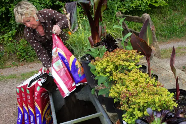 How to create an exotic container display - adding compost