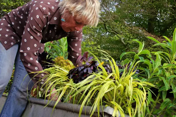 How to create an exotic container display - filling in the gaps