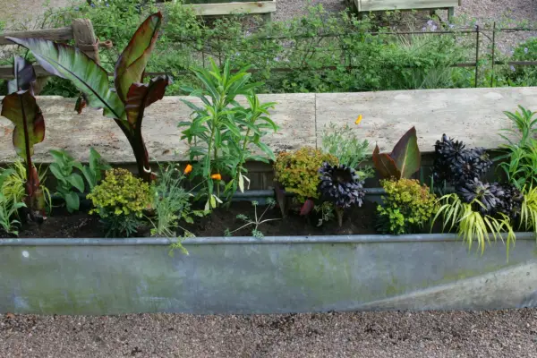 Cum se creează un afișaj exotic de containere