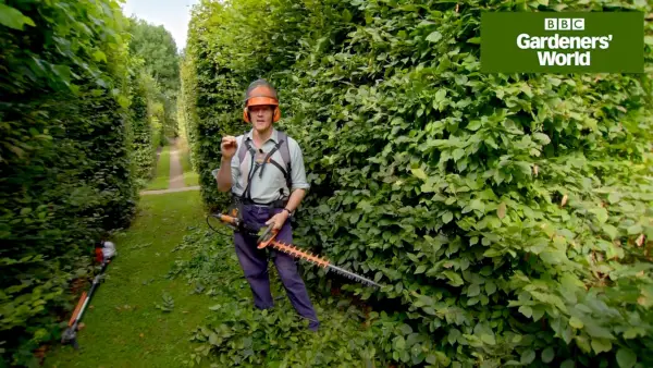 How to cut a hedge with Monty Don