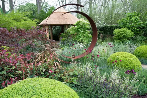 How to shape box topiary