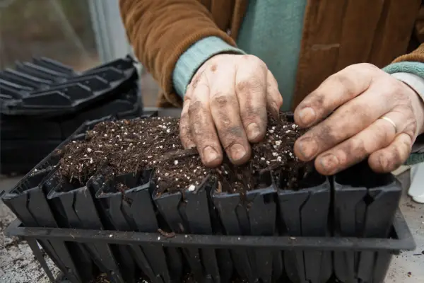 Filling seed modules with compost