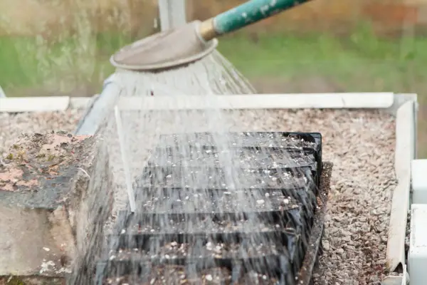 Watering the seed modules