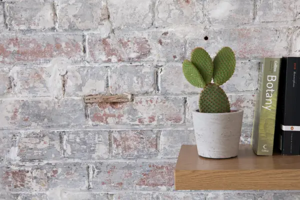 Cactus de pere în prickly: Ghid de îngrijire