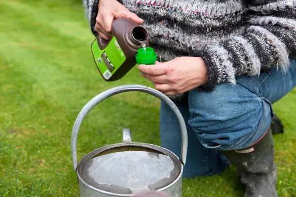 Hvordan gi plenen din en flytende fôr