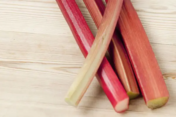 Comment forcer la rhubarbe
