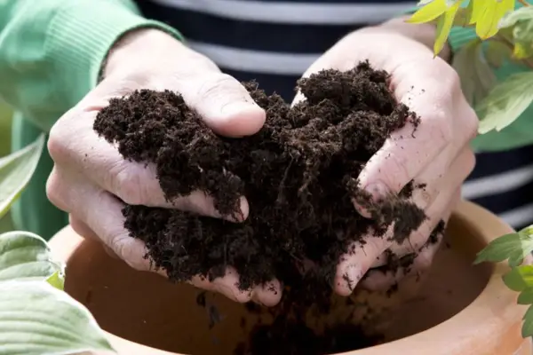 Adding compost