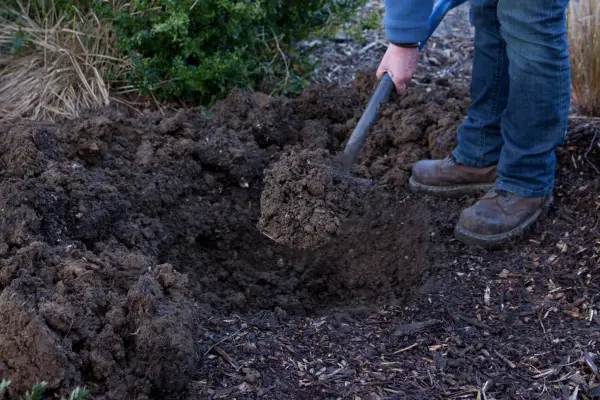 Digging a planting hole