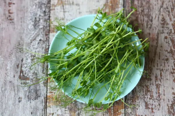 Pea shoots on a plate. Getty Images