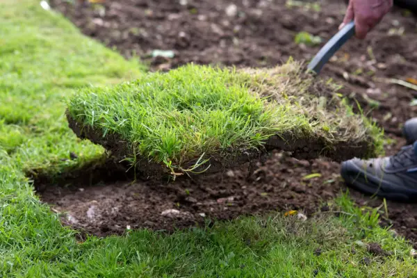 Cutting a section of turf