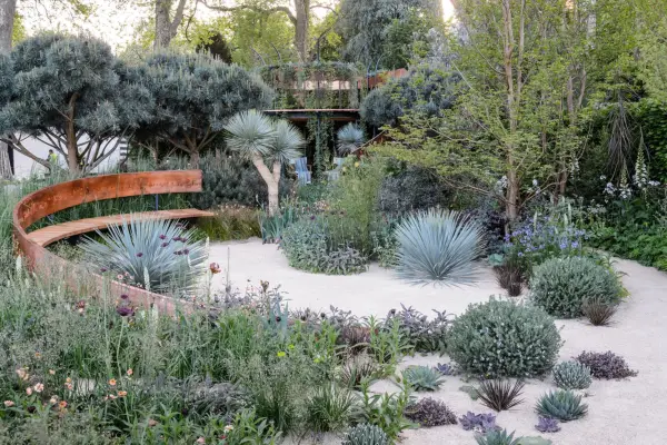 Exotic garden for a sunny spot