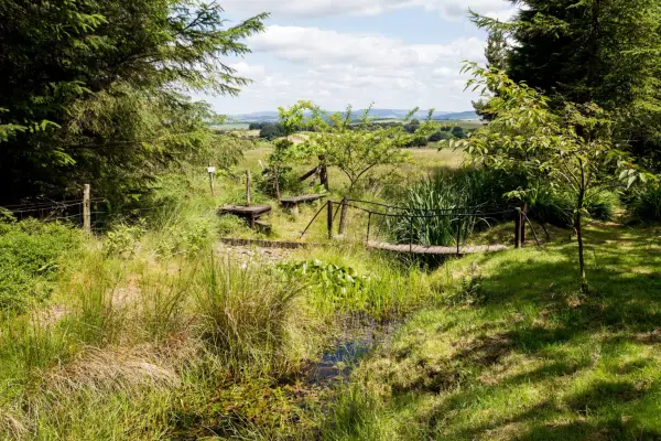 Real gardens: transforming a challenging plot