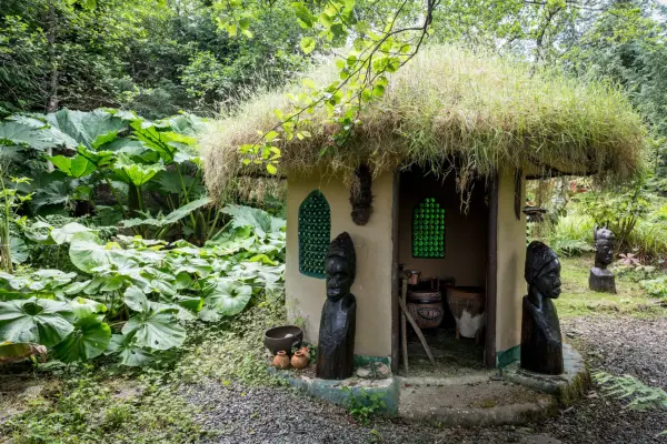 Real gardens: transforming a challenging plot