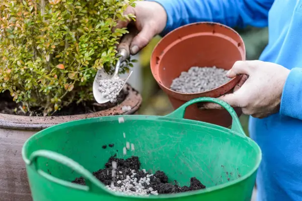 Adding pelleted chicken manure to compost
