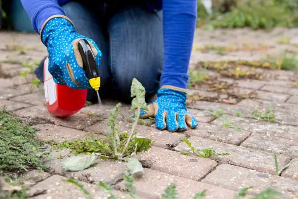 Zahradnictví s čistým svědomím