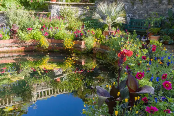 The Bath at Bodnant Garden is surrounded by a vibrant array of cannas, dahlias and salvias