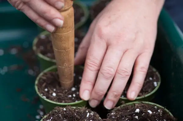 Making a hole in the compost