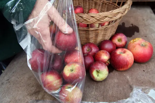 Storing apples in freezer bags