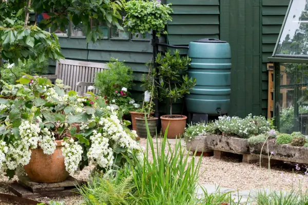 Gardening in a changing climate - save water