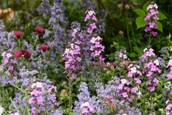 Gardening in a changing climate - grow plants all year round for pollinators