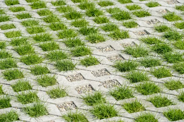 Gardening in a changing climate - reducing hard surfaces to prevent flooding