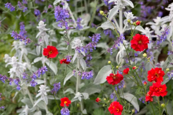 Hagearbeid i et skiftende klima