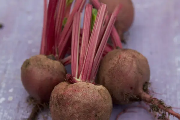 Beetroot 