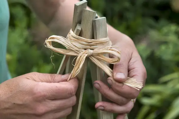 Tying the wooden batons together with raffia